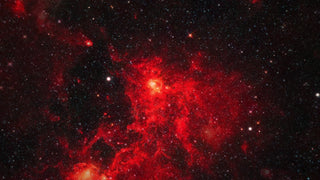 Natural Garnet & Red Fire Opal Leaf Couples Ring Set