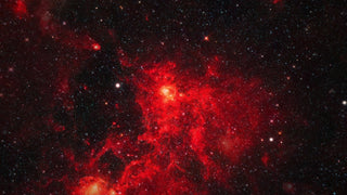 Crushed Red Garnet Couples Ring Set