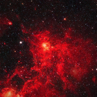 Crushed Red Garnet and Gold Leaf Wedding Band- 8MM Damascus Steel