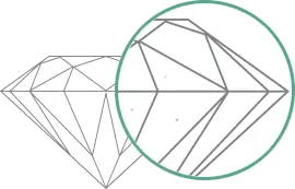 VVS1